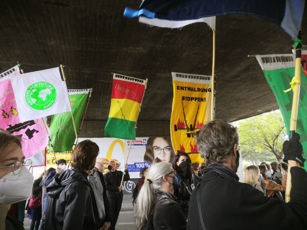 Fahnenmeer beim Klimastreik