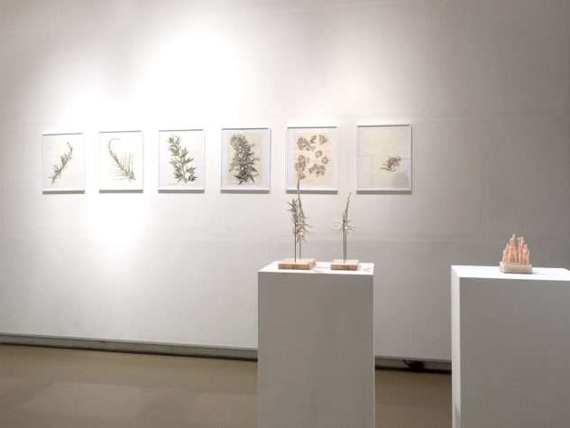 Blick in die Ausstellung, Zeichnungen an der Wand und ein paar Skulpturen davor